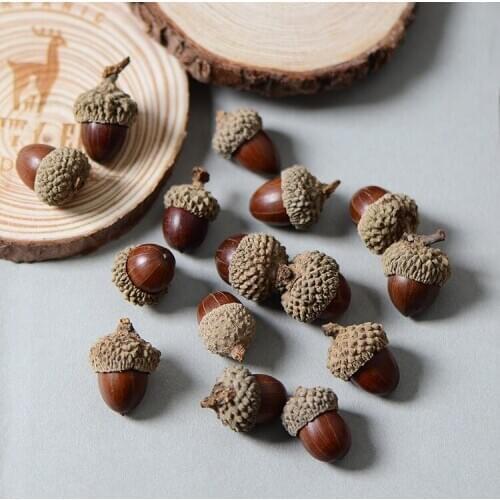 Acorn Natural Dried Fruit Real Acorn Hat Forest Wedding Accessories Dry Garland Making Materials Shooting Props flores autumn