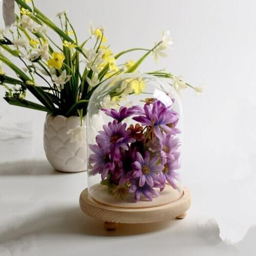 48sets/pack 7*12cm Small Size Log Base Glass Dome Vase Home Decoration Diameter=7cm Height=12cm Glass Cover Friend Gift Wedding