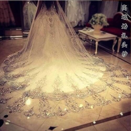 3.5 Meters Long Cathedral Train Wedding Veil Chic Lace Bridal Veil Appliques Lace Edge Wedding Accessoriess Custom made