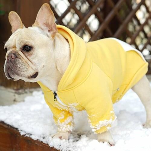 Solid Dog Clothes Winter Pet Dog Coat Warm Dogs Jacket Chihuahua French Bulldog Clothes for Small Medium Dogs Clothes Ropa Perro