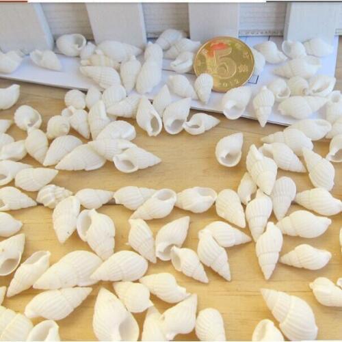 HappyKiss 200pcs/lot Mediterranean style layout setting wall DIY material home decoration mini white rice snail conch shells