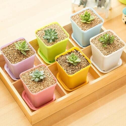 24Pcs Plastic Multicolor Mini Green Plants Flowerpot with Tray Garden Home Decor with Hole with Tray Home Decor Mini Size