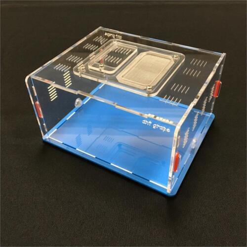 Ant grape series L size ant nest active area ,ant farm acryl, insect nests villa new pet advanced mania for house ants