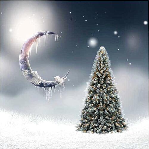 5x7 Christmas Photography Background Newborn White Snow Ice Blue Red Star Backdrop for Xmas Party Family Photo Booth Props