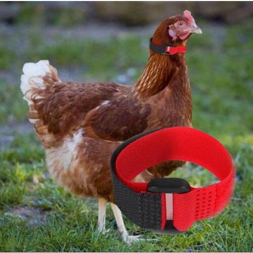 2Pcs Chicken Collar Anti Crow Noise Free Rooster Belt Adjustable Buckle Poultry Supplies for Ducks Farm Animal Supplies 2021
