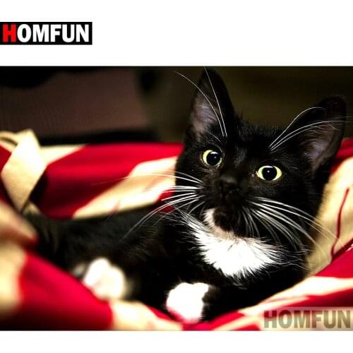 HOMFUN Full Square/Round Drill 5D DIY Diamond Painting "Animal cat" Embroidery Cross Stitch 3D Home Decor Gift A10083