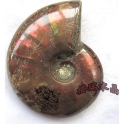 RARE Iridescent AMMONITE AMMOLITE SHELL GEM FOSSIL SPECIMEN HEALING Raw Mineral Specimens Ore Energy Stone Wholesale30G--40G