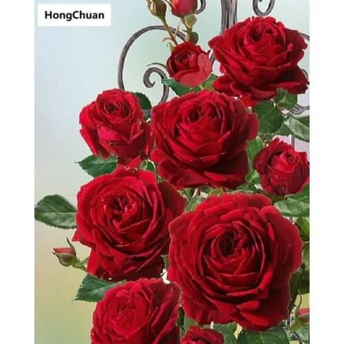 Fast delivery red rose mural 5D DIY round/square diamond painting embroidery mosaic cross stitch home decoration new year gift