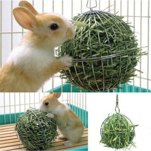 Stainless Steel Round Sphere Feed Dispense Exercise Hanging Hay Ball Guinea Pig Hamster Rat Rabbit Pet Toys