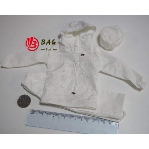 1/6 of the Action Figures Model DAMTOYS DAM 78070 Snow camouflage suit