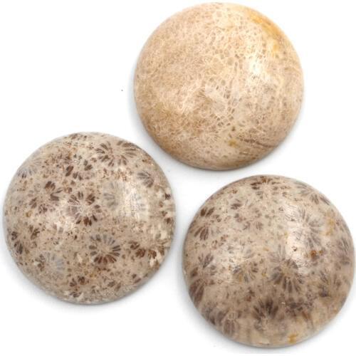 12 Pieces/lot) 12mm New Natural Coral Fossil Round stone CABs Cabochons Flat Backed stone Cabochon