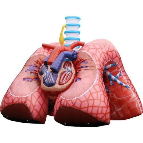 Personalized 4x3.5x4.5 meters giant inflatable Cardiopulmonary / large inflatable heart for decoration toys