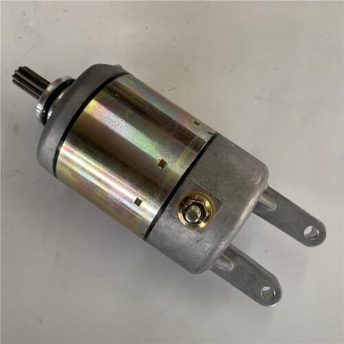 Motorcycle Parts Starter Motor LH250/300/400 YP250 Motor