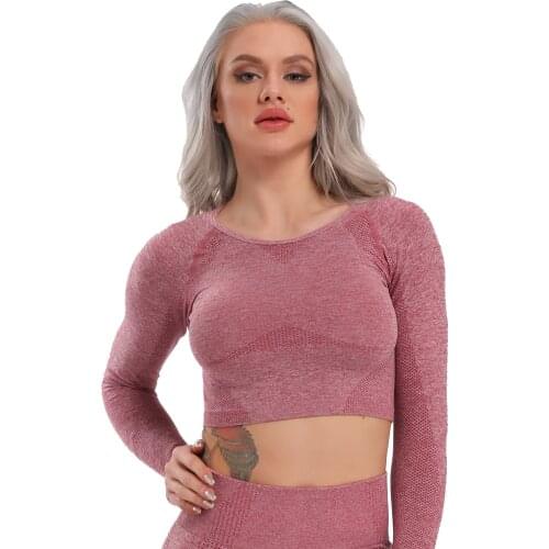 Seamless Yoga Top Long Sleeve Workout Tops for Women Fitness Yoga T-shirts Crop Tops Solid Sportswear Womens Shirt Gym Clothing