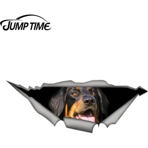 Jump Time 13cm x 4.8cm Hovawart decal 3D Pet Graphic Vinyl Decal Car Window Laptop Bumper Animal Car Stickers