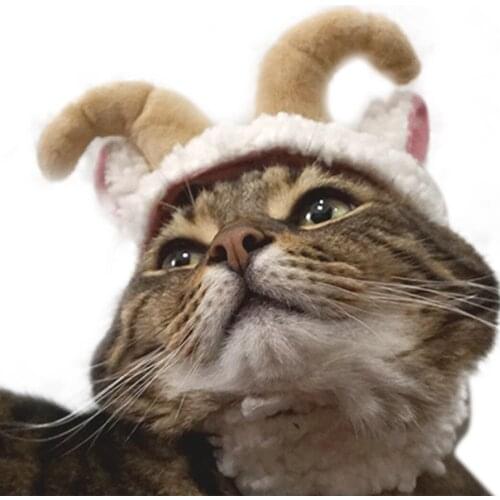 Legendog Halloween Pet Headwear Plush Funny Cute Sheep Horn Kitten Hat Puppy Winter Hat For Cosplay Pet Accessories Cat Hat