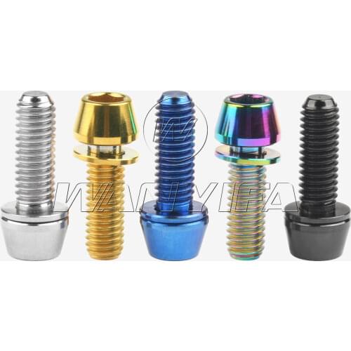 Wanyifa Titanium Ti Bolt M6x18/20mm with Washer Allen Key Head Screws for Bicycle Disc Brake