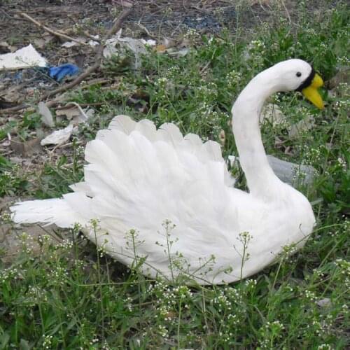 Cute white simulation swan toy Foam and feathers beautiful Swan props gift about 30x40cm 0816