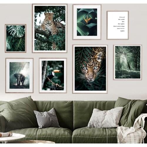 5D Diamond Painting Leopard Elephant Toucan Forest Monstera Diamond Mosaic Diamond Embroidery Cross Stitch Home Decoration