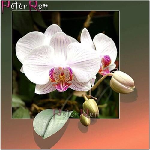 Peter ren 5d supernatural diamond painting Kits Flower Full Embroidery Scenery Decorations For Home Mosaic Floral Handmade Gifts