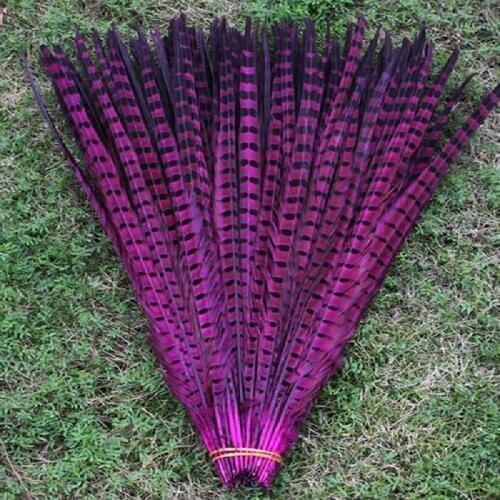 High quality natural Mei red chicken tail feathers 20 PCS 20-22 inches / 50 to 55 cm