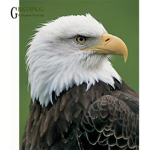 GRKDPKJ 5d diamond painting eagle full drill square diamond embroidery Cross stitch pictures of rhinestones Wedding decoration