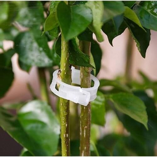 New 50 pcs Portable Reusable 25mm Plastic Plant Support Clips clamps For Plants Hanging Vine Garden Greenhouse Vegetables Clips