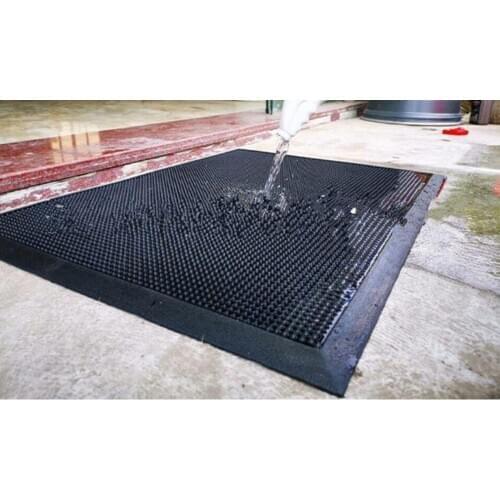 Disinfect Front Door Mat, Sanitizing Shoe Disinfecting Floor Mats, Household