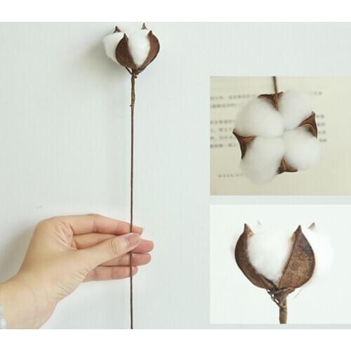 1pcs Decorative Dried Flowers Natural Cotton Branch Small Flowers Plants Stems Flores Secas For Home Wedding Party Decoration