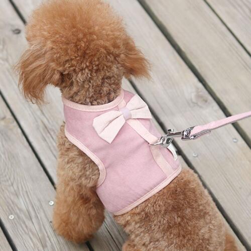 Fashion Small Medium Dogs Chihuahua Yorkie Teddy Traction Rope Leash Set Puppy Cat Vest Harness Collar Bell Cute Pet Vest
