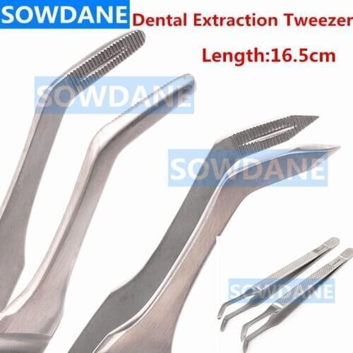 Dental Extraction Tweezer Pointed End Root Splinter Forcep Round Tip Root Tip Pick Tweezers Dental Orthodontic Instrument Tool