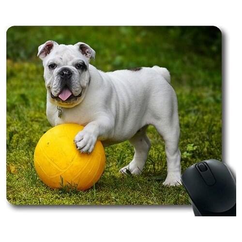Puppy Thick Mousepad,English Bulldog Bulldog Dog Ball,dogs mouse mat