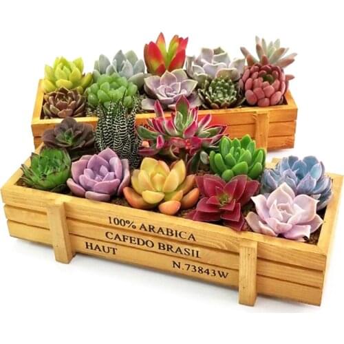 Garden Plant Pot Decor Succulent Wooden Boxes Crates Rectangle Table Flower Pot