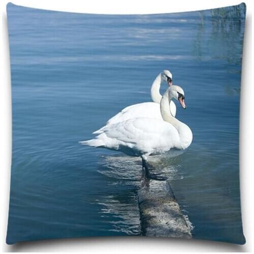 Two parallel swans in the water 2D print creative Pillow case Square cotton polyester cushion cover 5 size 9 style