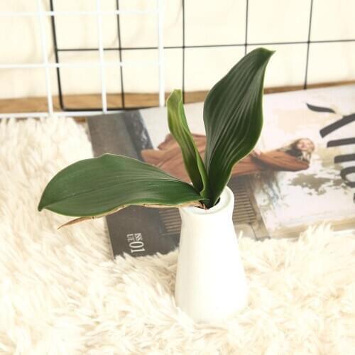 Phalaenopsis Leaf Real Touch Artificial Green Butterfly Orchid Plastic Leaf Beauty Plant Decor For Wedding Decor DIY Wreath Gift