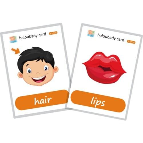 36pcs/set 11x16cm Early Education Baby Preschool Learning Various parts of the body Words cards with picture for kids gift