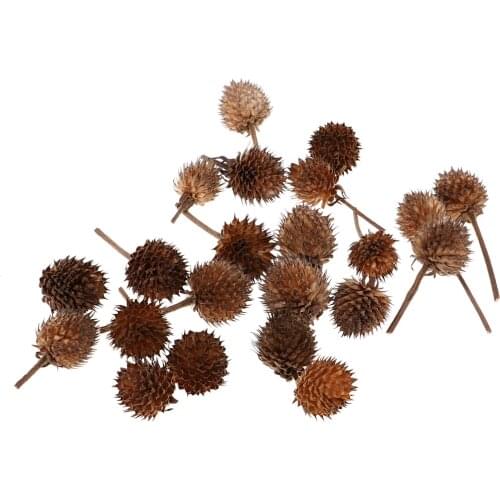 50 Mini Dried Flowers Plant Fruits Christmas Accents Wedding Decor Ornaments