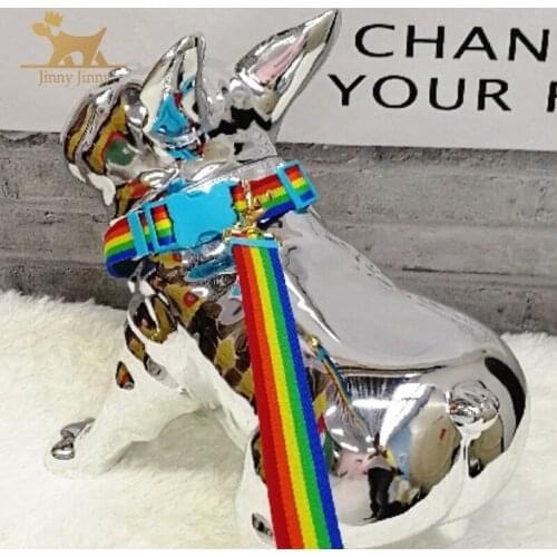 Puppy/Dog Leash, Strong and Durable Traditional Style Leash with Easy to Use Collar Hook，Can Be Tied Around the Waist