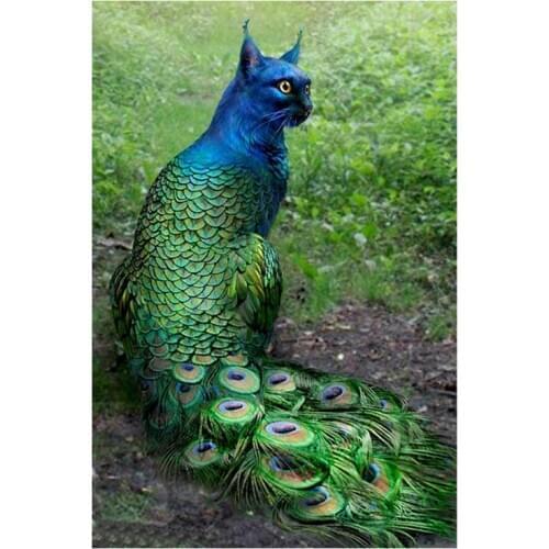 DIY 3D Diamond Painting by Number Kit, Brown Cat Crystal Rhinestone Embroidery