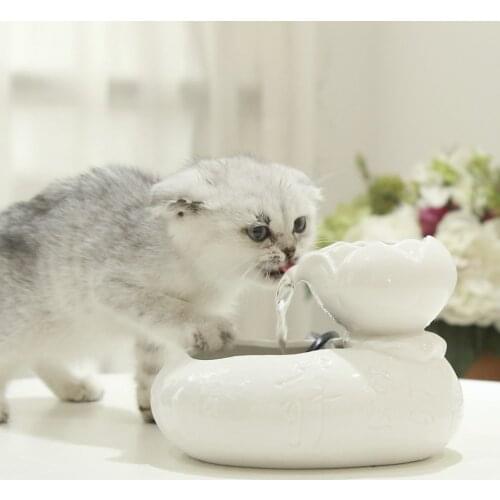 MAIGEENIFA Bowls For Cats