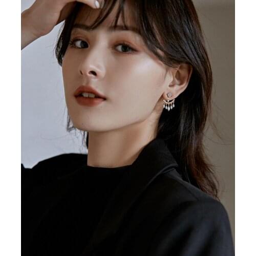 Girl Cool Beautiful Zircon Tassel Ear studs Korean Sparkling Temperament Net Red Ear Stud Back-Hanging Earrings for Women