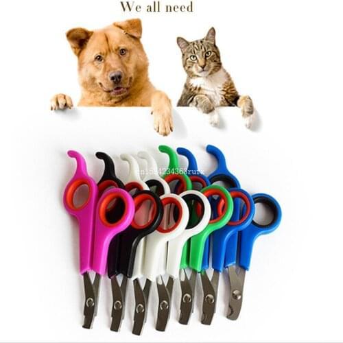 1000 pcs Dogs Nail Clippers Puppy Hat Trimmer Pet Nail Scissors Sharp Head Small Dog Cat Pet Supplies Stainless Steel