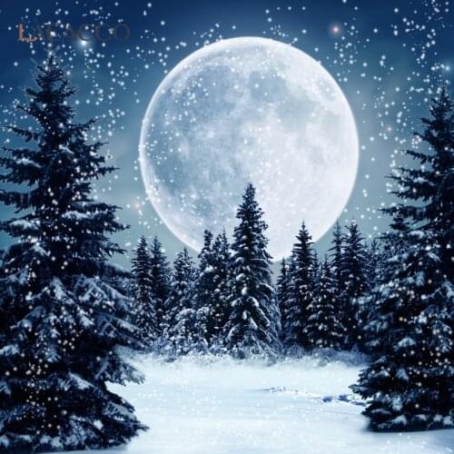 Dreamy Winter Scenery Backdrops Forest Pine Trees Snow Moon Photography Backgrounds Baby Portrait Photophone For Photo Studio