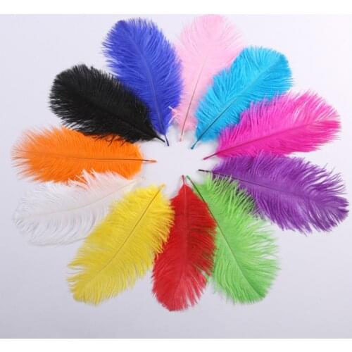 10pcs/lot Ostrich Feathers DIY dream catcher feathers jewelry making crafts Wedding Clothes Decoration plumas accessories15-30cm
