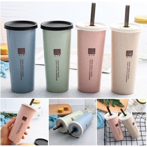 450ml Wheat Straw with Straw Water Cup Creative Adult Student Water Cup Single Double Cover Plastic Standby Cup