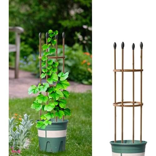 Climbing Plant Support Cage Garden Trellis Flowers Stand Rings Tomato Support Durable Creative Adjustable Climbing Vine Racks