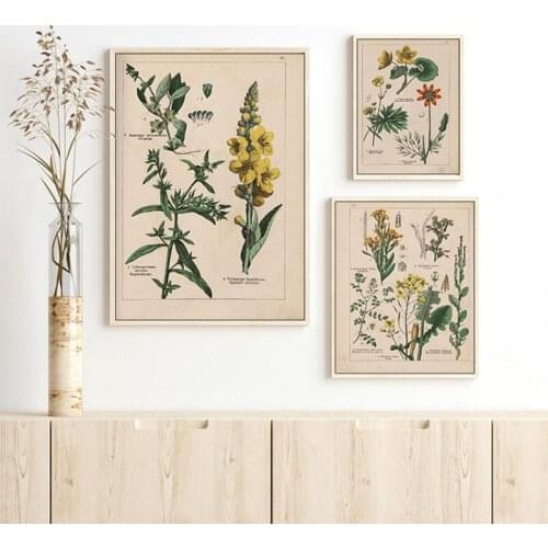 Vintage Wild Plant Poster Botanical Flower Study Living Room Hanging Painting Peony Picture Aesthetic Room Decor Canvas Painting