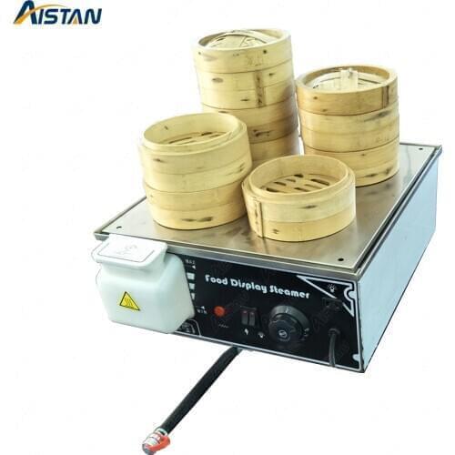 Aistan Electric Steamers