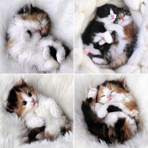 Evershine Diamond Embroidery Cat 5D DIY Diamond Painting Animals Cross Stitch Kit Rhinestone Mosaic Sale Home Decoration