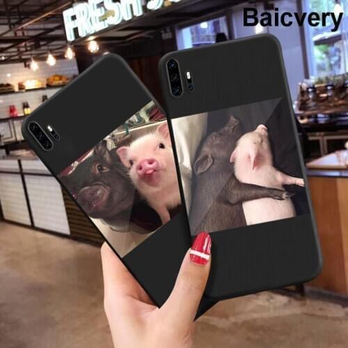 Baicvery F2